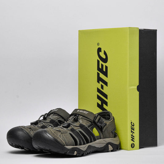 Shaol Bay Sea Turtle-Taupe