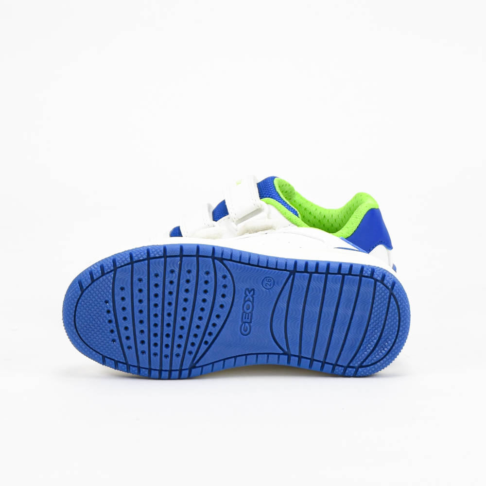 GEOX BASKET