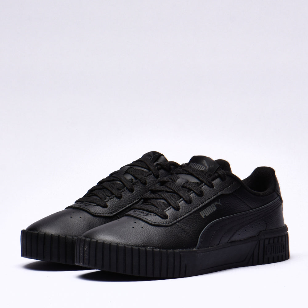 Puma carina 2.0