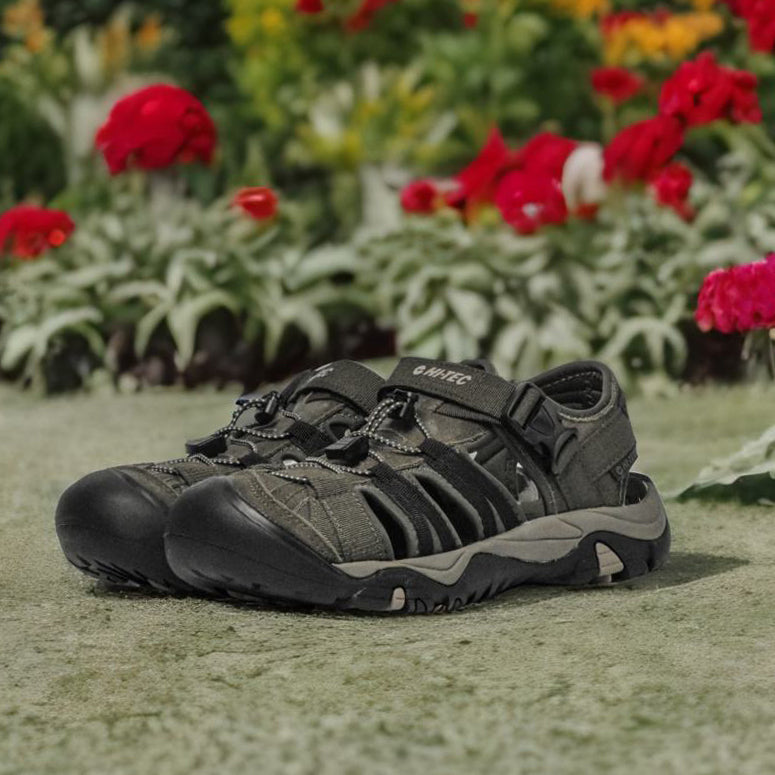 Shaol Bay Sea Turtle-Taupe