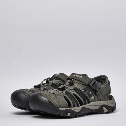 Shaol Bay Sea Turtle-Taupe