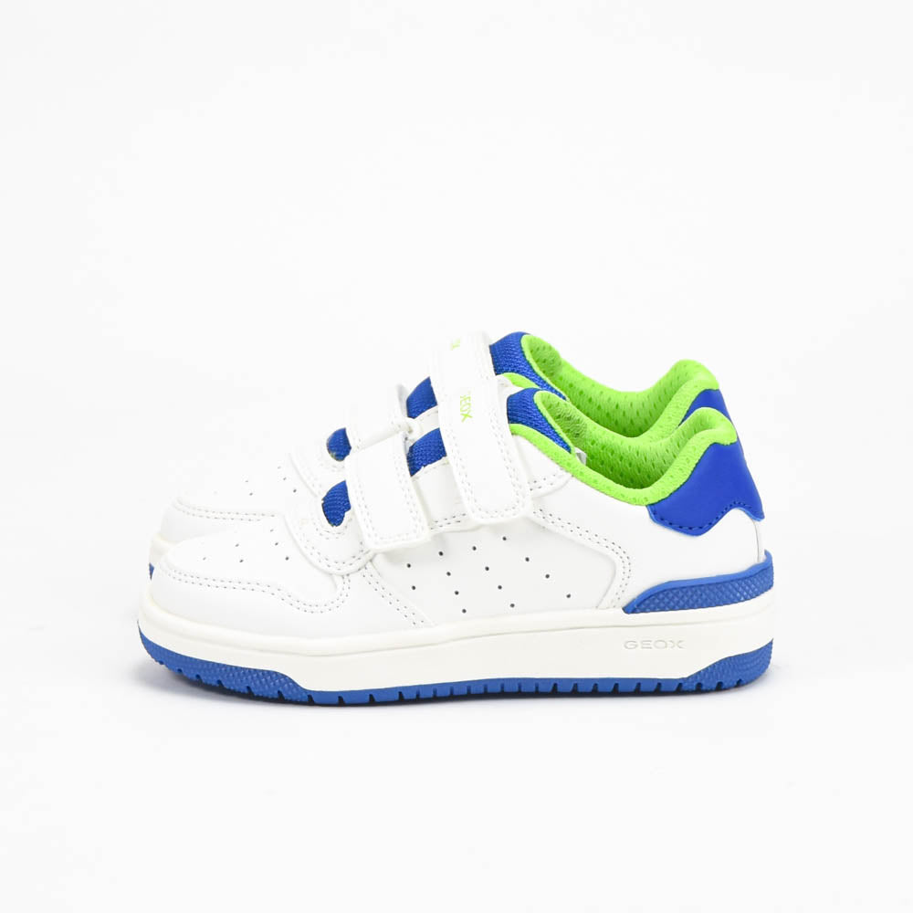 GEOX BASKET