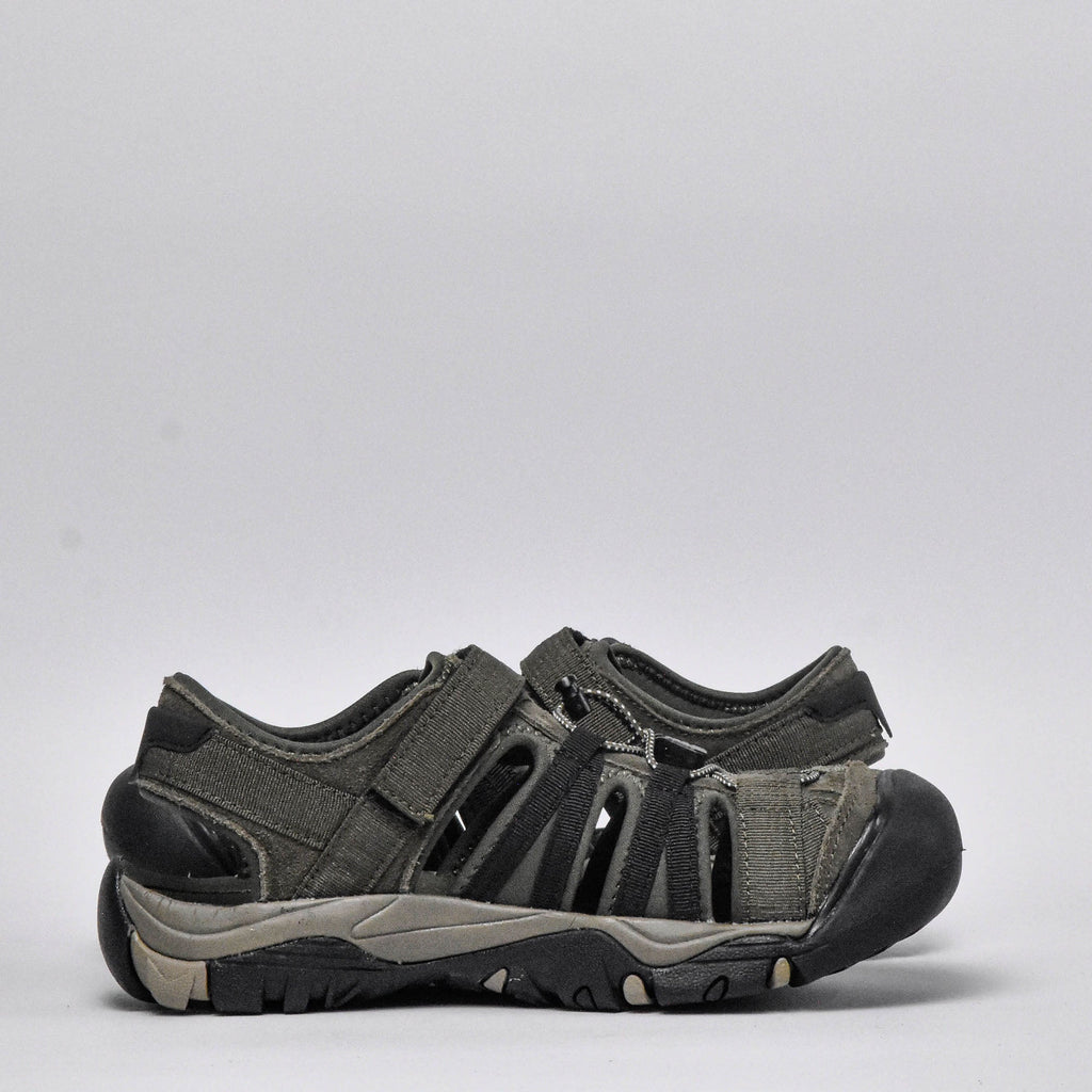 Shaol Bay Sea Turtle-Taupe