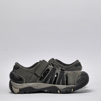 Shaol Bay Sea Turtle-Taupe