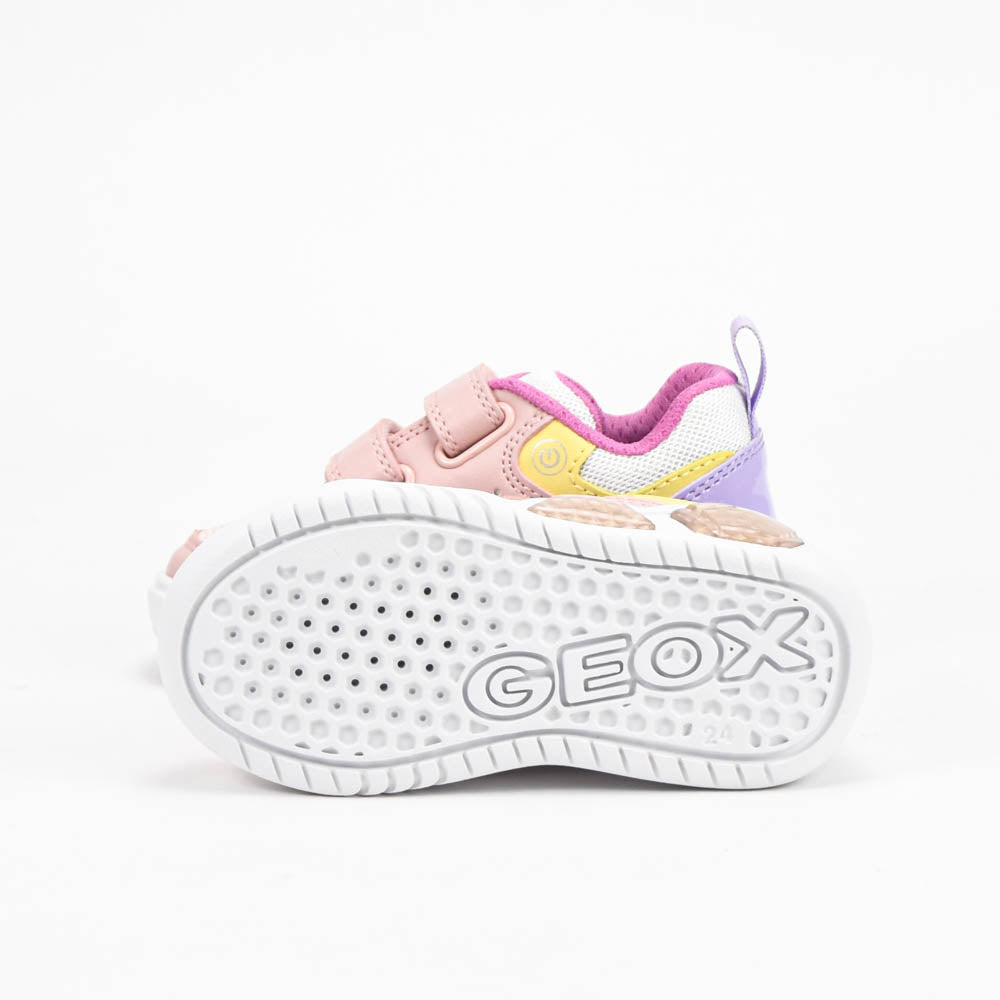 GEOX BASKET
