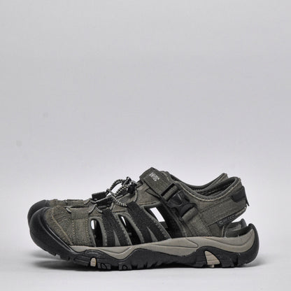 Shaol Bay Sea Turtle-Taupe