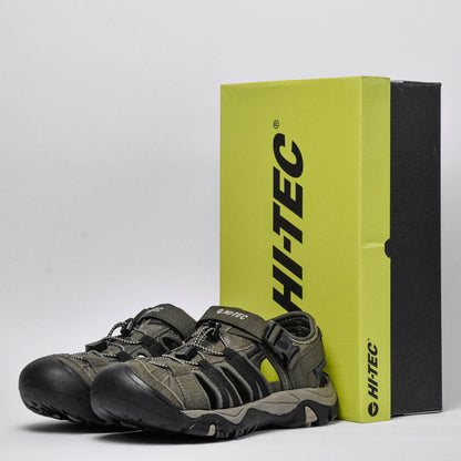 Shaol Bay Sea Turtle-Taupe