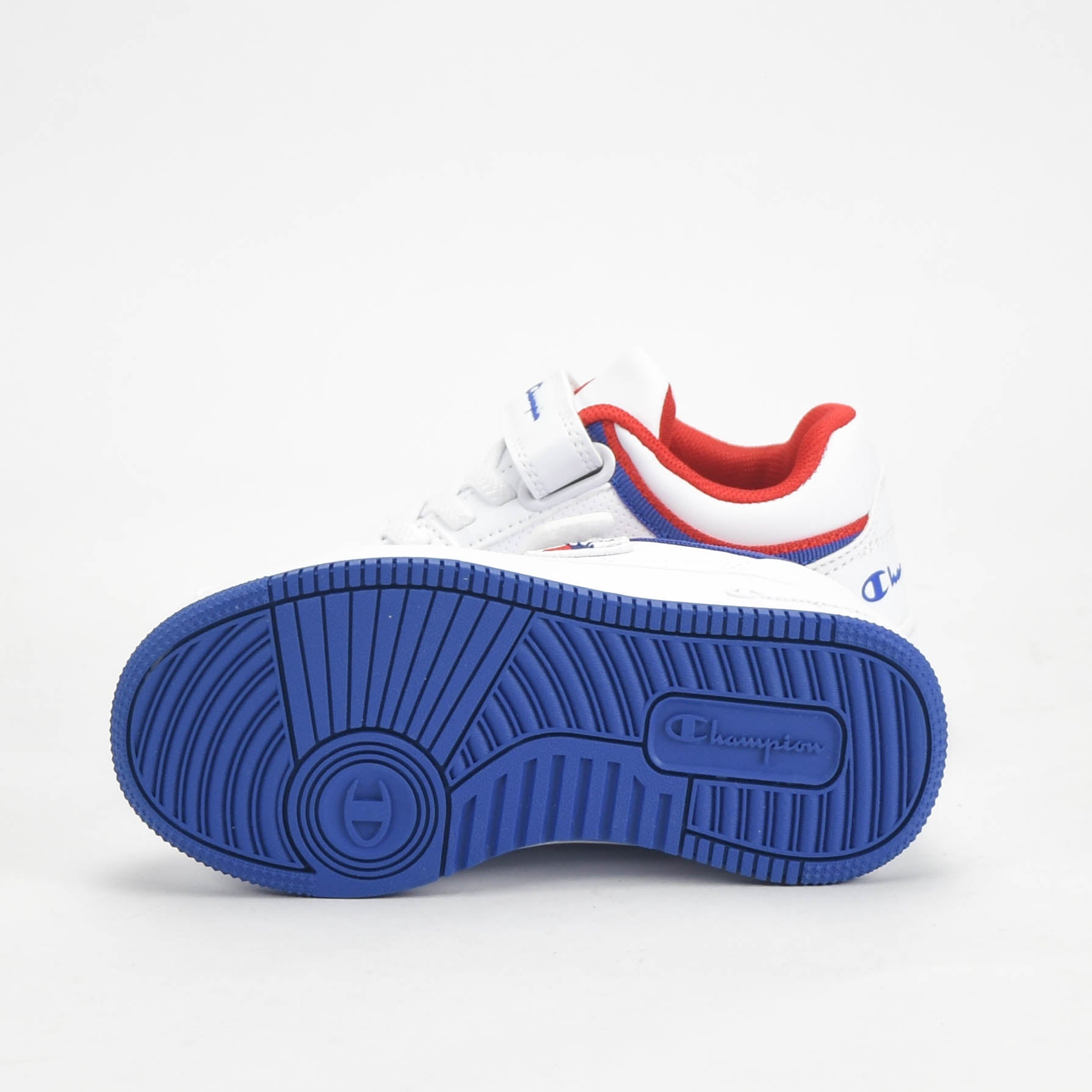 CHAMPION BASKET